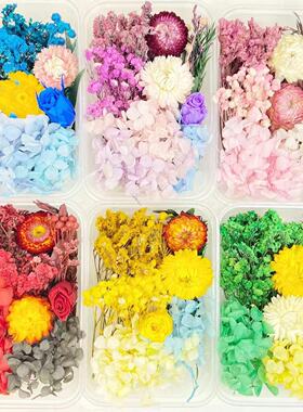 永生花干花材料包DIY相框贴画团扇浮游瓶团建活动花艺课手工花料