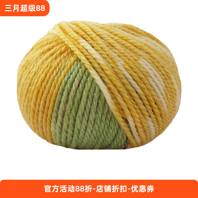 lana gatto 进口羊毛亚克力混纺段染线 ASIAN 手编毛线 50克91米