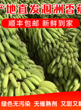 涠洲火山岛香蕉青皮自然熟无催熟又甜又糯自产自销绿色无污染包邮