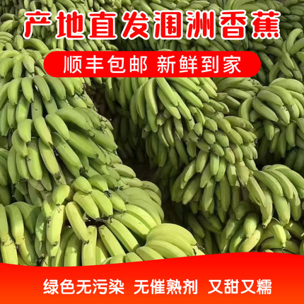 涠洲火山岛香蕉青皮自然熟无催熟又甜又糯自产自销绿色无污染包邮