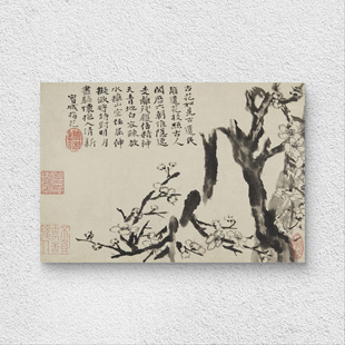梅花图册 纸本绢布 书法国画 临摹学习 微喷复制 尺牍小品 石涛