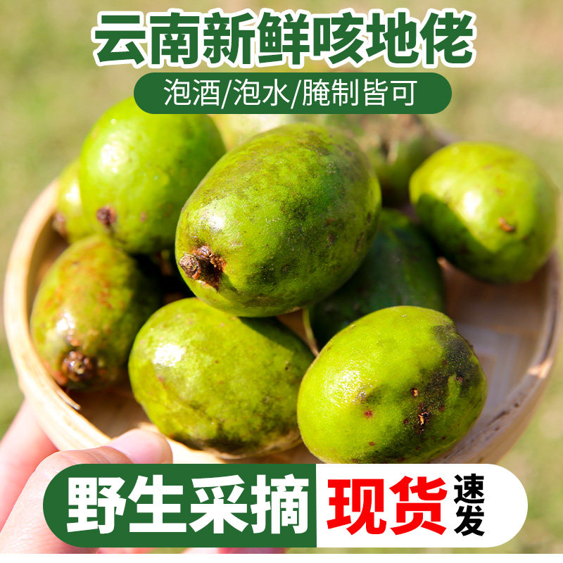 腾冲克地老咳地佬新鲜青果云南野生咳地佬泡酒诃子保山特产青橄榄