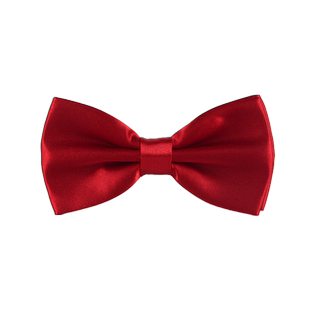 男士正装商务团体蝴蝶结歌舞表演合唱年会庆典白衬衫配饰领结红色