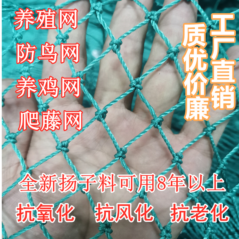 大棚尼龙线防鸟网养殖天网养鸡尼龙网鱼塘果园防鸟网果树防鸟用网