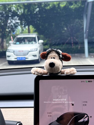 情侣款汽车中控台装饰特斯拉