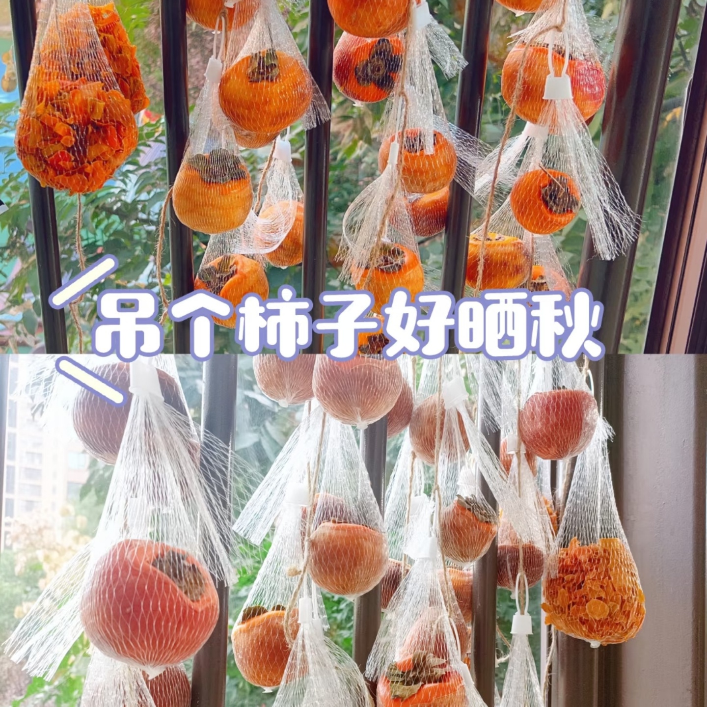 幼儿园晒秋环创班级创意活动柿子丰收作品集手工制作柿饼水果网兜