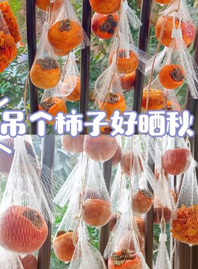 幼儿园晒秋环创班级创意活动柿子丰收作品集手工制作柿饼水果网兜