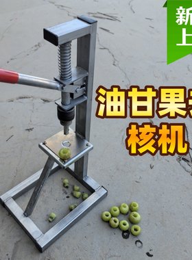 火中飞油柑去核机机器取籽专用