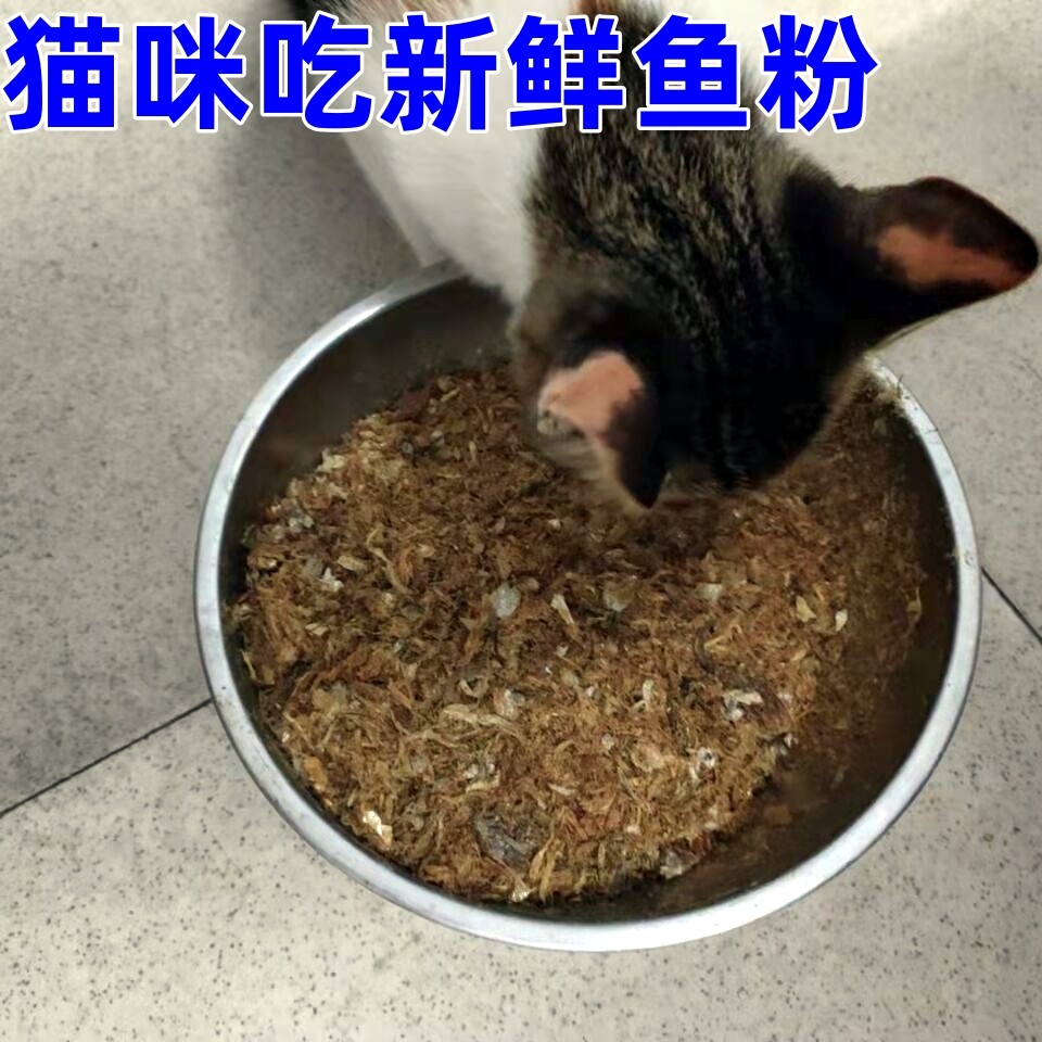 包邮特价淡水无盐碎鱼渣干碎鱼沫碎肉 碎沫鱼下水猫乌龟宠物粮食,水产肉类/新鲜蔬果/熟食,鱼干,淘宝优惠券,粉丝福利购,淘宝优惠卷
