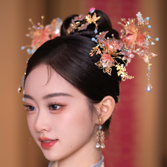 秀禾头饰2024新款新娘大气新中式高级香槟色金色显脸小秀禾服配饰