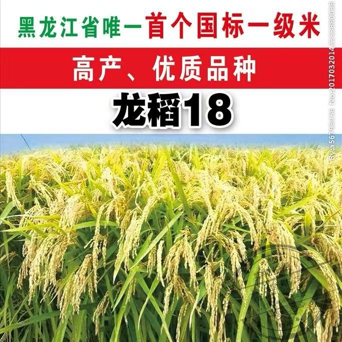 龙稻18国家一级米五常稻花香