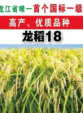 龙稻18十八五常水稻大米种子东北黑龙江
