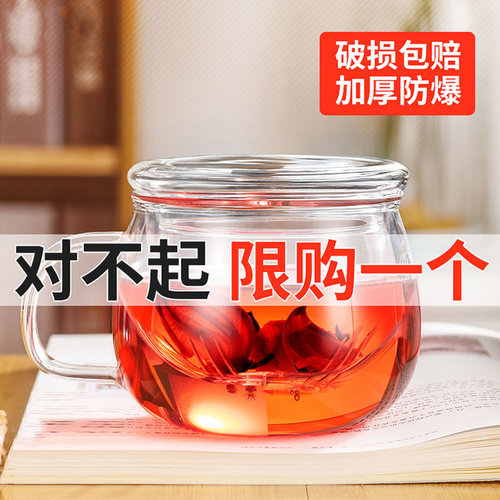玻璃杯泡茶带把花茶杯过滤