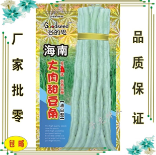 春秋厚肉肥仔大肉甜豆角种子 珠仔豆 猪仔豆 大肉豇豆500克