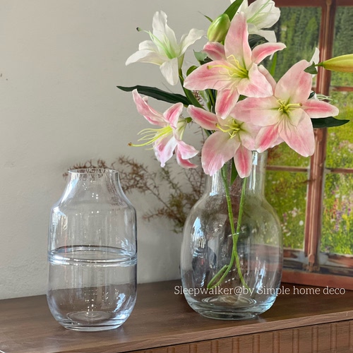 水光团子21｜简约透明玻璃花瓶水养插花花瓶养鱼花瓶