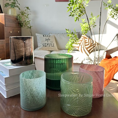 绿植套盆合集2|文心兰梦香兰蝴蝶兰多肉绿植兰花家用玻璃花盆