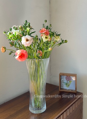 流年光影｜欧式大号花瓶水养鲜花透明玻璃花瓶水培百合客厅装饰