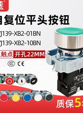 XB2自复位按钮平头一佳22mm