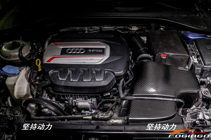 适配斯柯达明锐A3凌渡1.8T 2.0T改装进气套件冬菇头风箱碳纤维