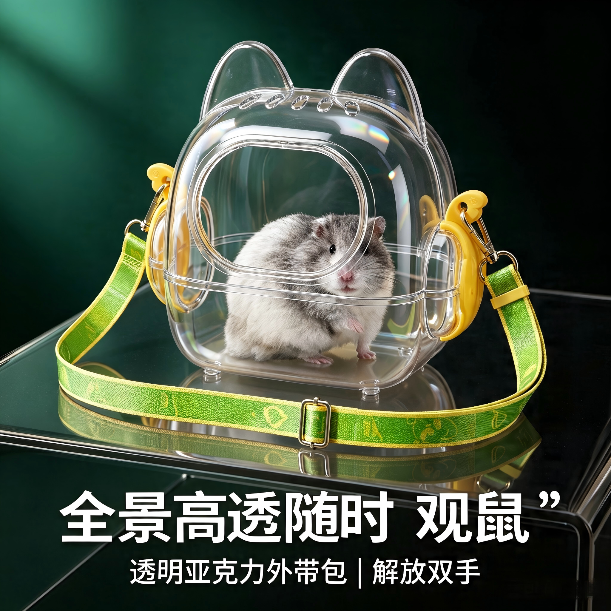 鹦鹉仓鼠蜜袋鼯小宠物外带包高透图片