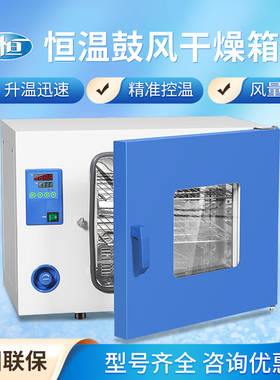 上海一恒电热鼓风干 干燥箱实验室用恒温烘箱工业烤箱小型一恒烘