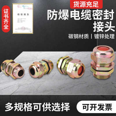 防爆格兰头加紧接头BDM-2