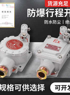 防爆行程开关限位B型DLXK LX5-15B/5d脚踏双踏柱塞lx5-D滚轮Z EX