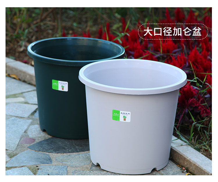 小果汀特大号15加仑花盆青山控根月季大果树网红花盆抗氧化四季盆