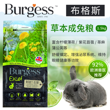 【预售】布格斯草本burgess柠檬薄荷1