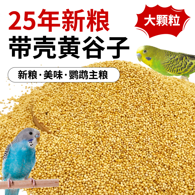 天然黄谷子鸟粮带壳小米