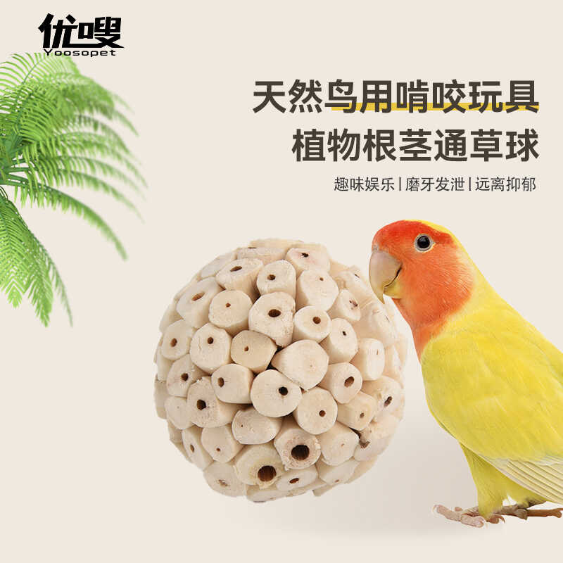 健齿磨牙鹦鹉啃咬棒解闷玩具