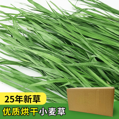 25年新草烘干小麦草牧草干草