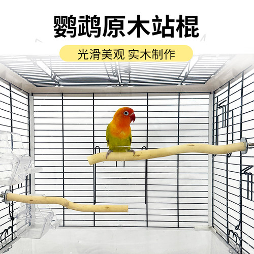 鹦鹉站杆鸟站杆纯天然龙木磨爪站棍鹦鹉树枝站杆实木站杆鸟笼配件