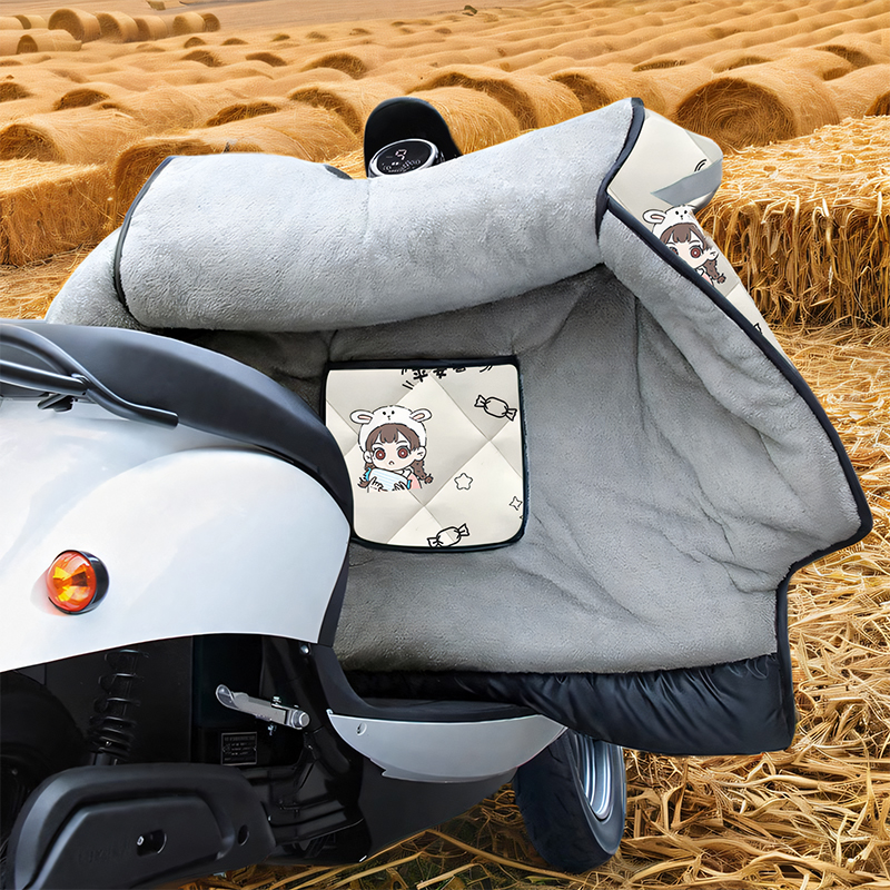 大安罗纳多飞龙13三轮车挡风被