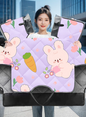 爱玛爱琪miniQB50电动车挡风被冬季四季冬款加绒加厚电瓶车防风罩