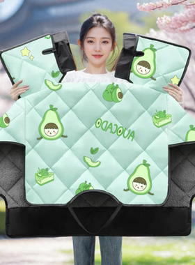 专用爱玛FX3Pro电动车冬季加绒加厚挡风被冬天防水防风罩四季通用