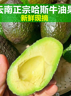 【猴哥精选】云南孟连国产哈斯hass牛油果新鲜水果鳄梨一级大果