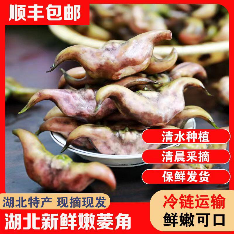 顺丰新鲜嫩菱角湖北特产生吃即食嫩菱角米棱角菱果现摘现发带壳