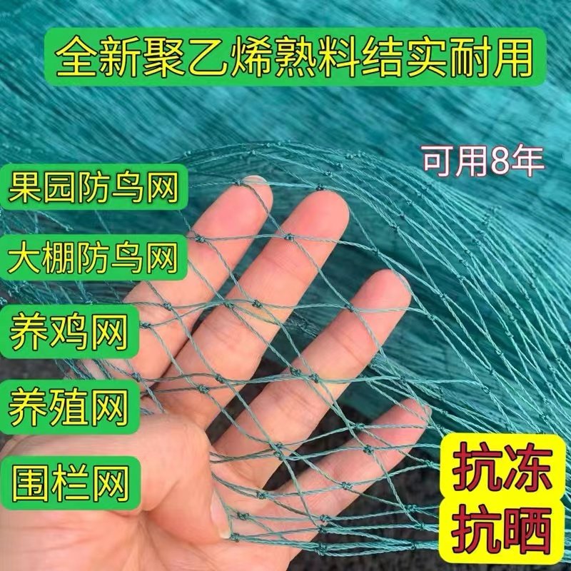 大棚风口防鸟网葡萄棚围边网天沟网养殖用网防护网稻田菜地防鸡网,农机/农具/农膜,农用防鸟网,淘宝优惠券,粉丝福利购,淘宝优惠卷