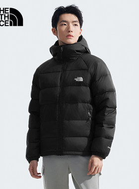 北面男子户外保暖防泼水羽绒服