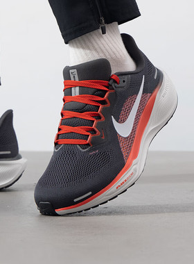 NIKE耐克PEGASUS 41飞马41男子运动缓震训练公路跑步鞋FN4932