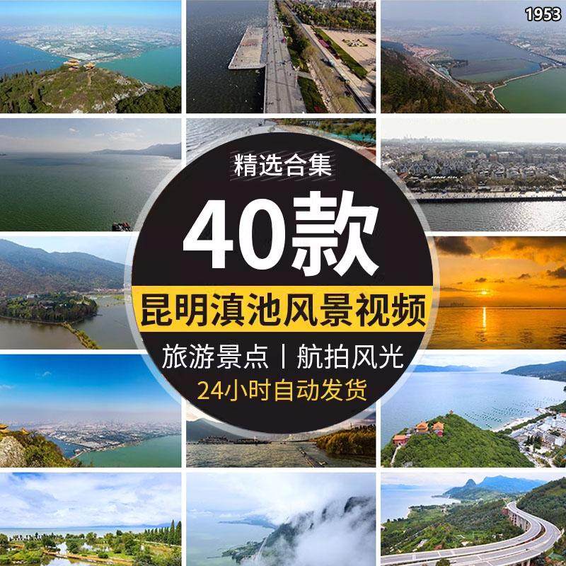 实拍云南昆明唯美旅游风景滇池湖泊风光湿地公园红嘴鸥短视频素材