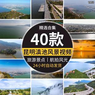 实拍云南昆明唯美旅游风景滇池湖泊风光湿地公园红嘴鸥短视频素材