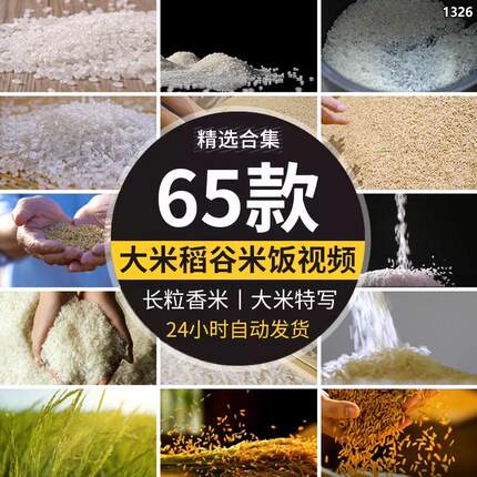 大米饭特写水稻谷长米粒珍惜粮食掉落白米饭宣传高清视频背景素材