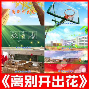 离别开出花 歌曲伴奏带字幕歌词毕业季校园舞蹈led大屏幕视频背景