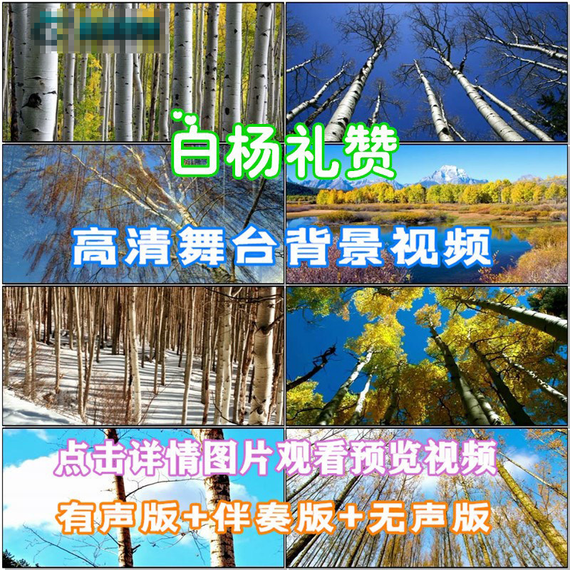 白杨礼赞-诗词朗诵配乐led春节晚会舞台大屏幕高清视频素材定制