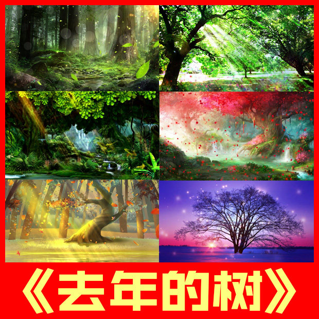 去年的树课文散文朗诵表演梦幻森林唯美舞台led背景视频屏幕素材