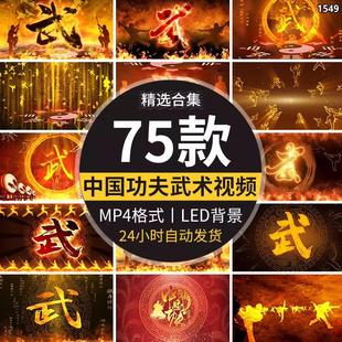 少林寺中国武术功夫太极南拳儿童集体表演led大屏幕背景视频素材