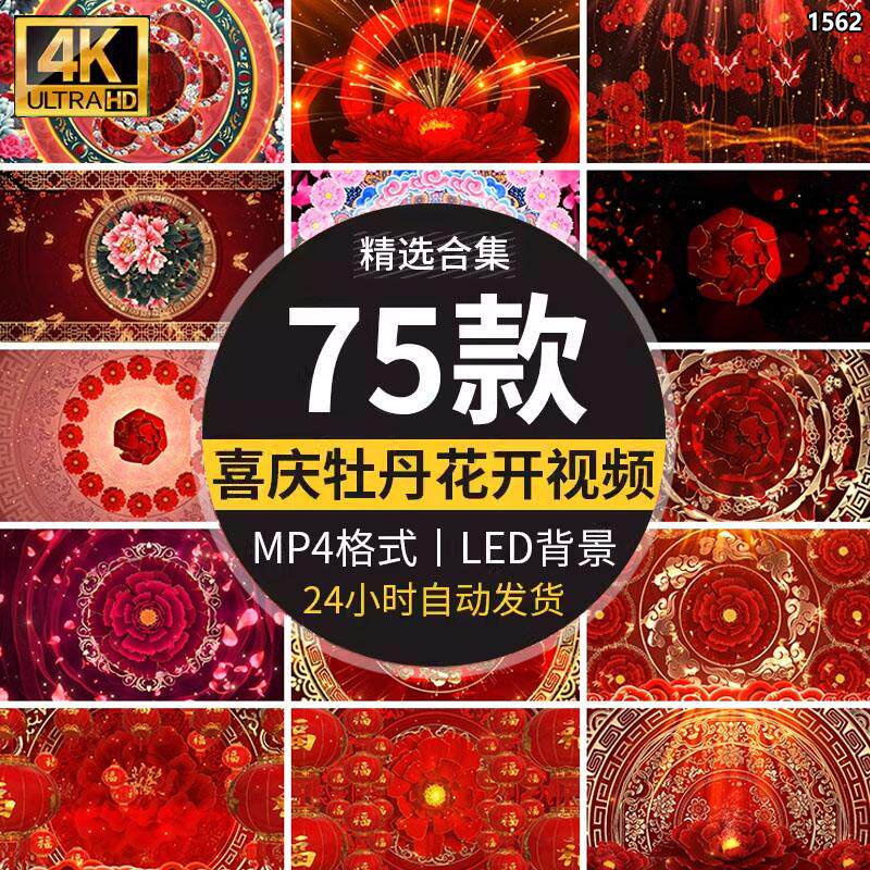 大红色喜庆牡丹花开富贵鲜花瓣绽放跳舞蹈LED舞台大屏幕背景视频