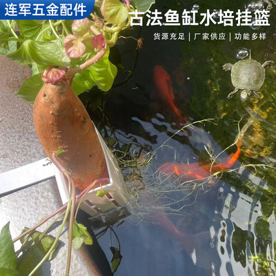 水培固定篮水培定植篮水草种植杯壁挂式吸盘定植篮造景装饰固定